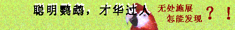 1e6b55d5836f91922c69c26b4b7f9913